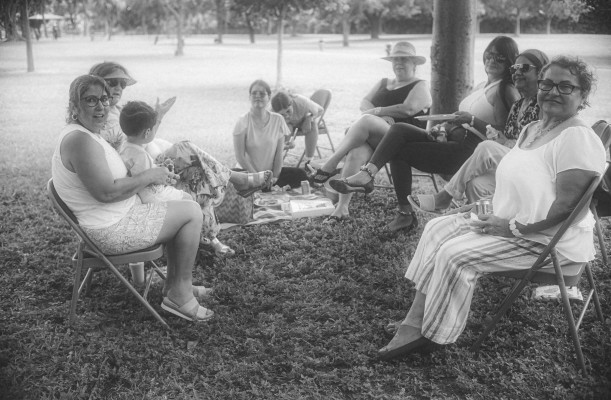 Grasveld met mensen rond een picknick